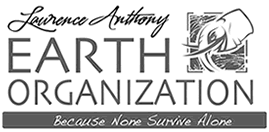 Earth Organization