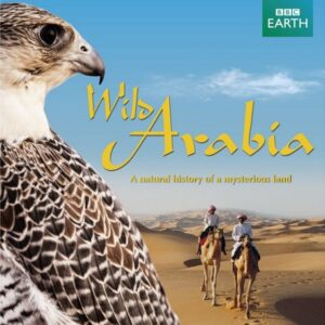 Wild Arabia (TV Mini-Series 2013- ) - IMDb